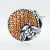 45677.webp
